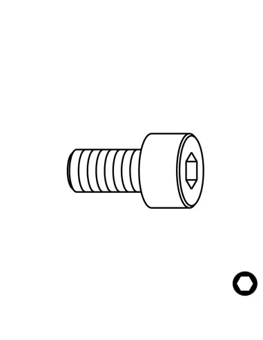 Screw for bearing