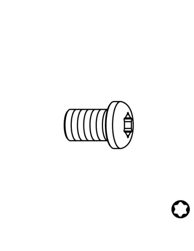 CMT Screw