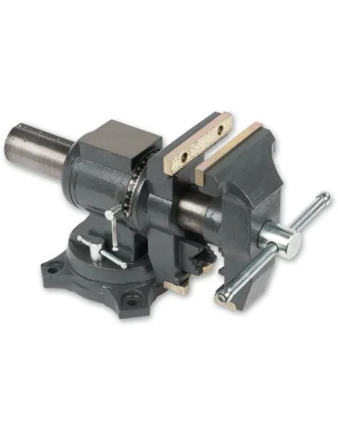 Axminster Professional All Purpose Engineer's Vice 125mm